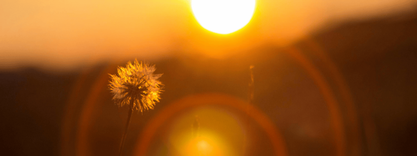 Fol-C-Nothing-to-defend-1400×526