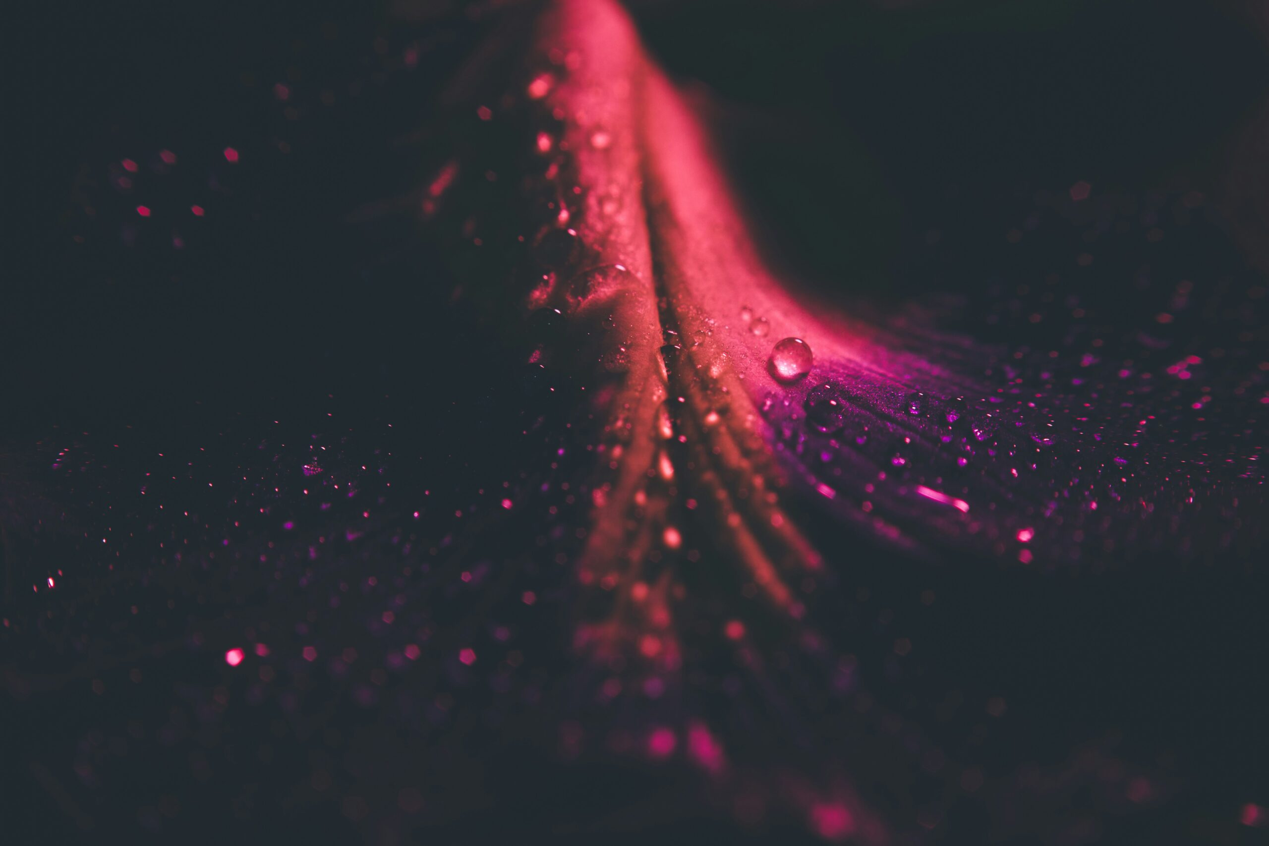 vivek-doshi-v6D9Bi7PQ-I-unsplash