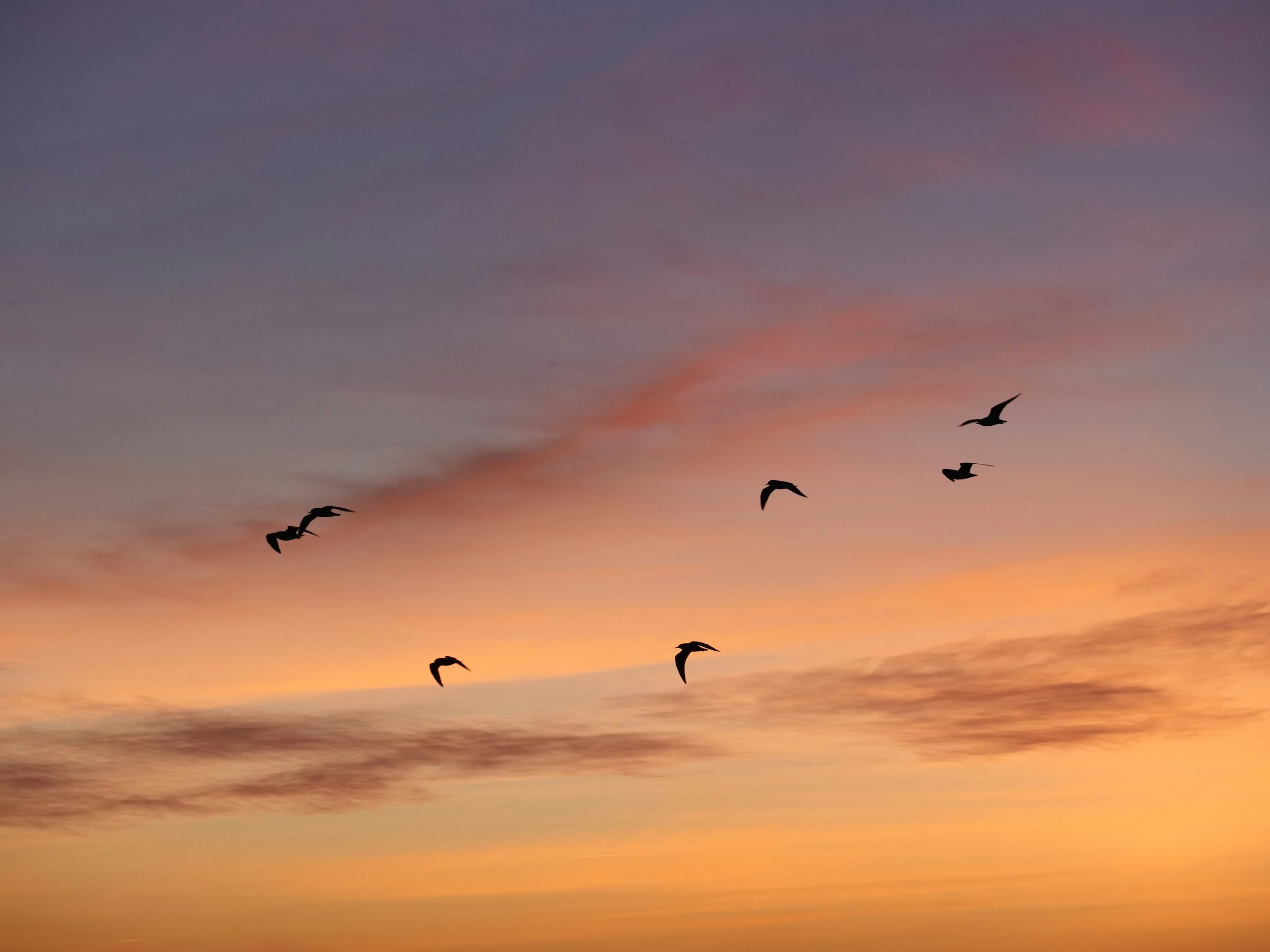 rafael-garcin-B_vs3DVjvic-unsplash